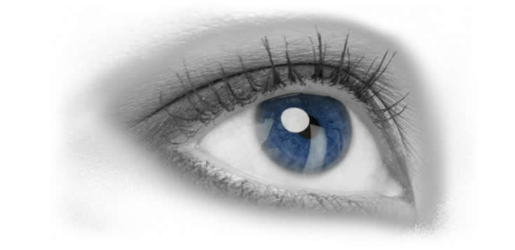 Trockenes Auge - Analyse & Training
